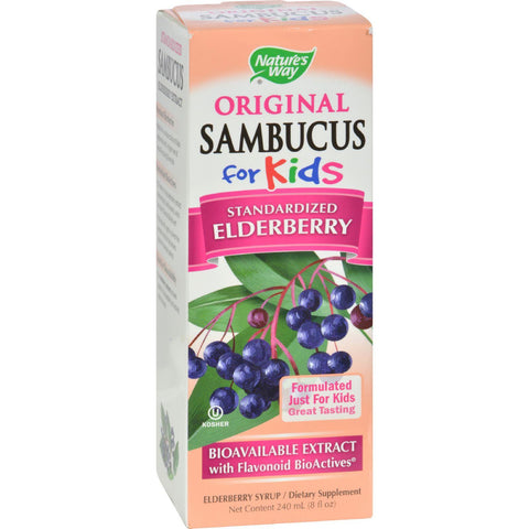 Nature's Way Original Sambucus For Kids - Standardized Elderberry - 8 Fl Oz