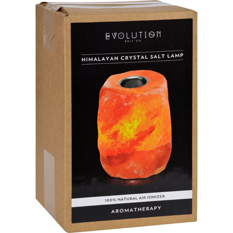 Evolution Salt Crystal Salt Lamp - Aromatherapy - 1 Count